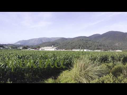 Joan Sebastian Volvi Pal Pueblo