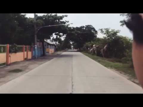 iGlobal fam 06/22/17