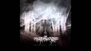 Brood Of Hatred - Obsession