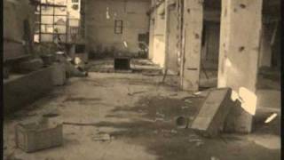 skinny puppy yes he run