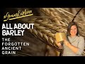 Let S Talk About Barley January GrainsExplorer How To Use Barley Is Barley Whole Grain