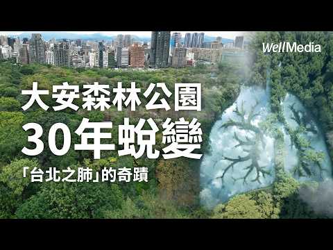 大安森林公園30年蛻變！從臭味泥巴地到「台北之肺」的奇蹟【Well Talk】