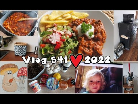 Vlog 541/22 - stroganof, houby, skype