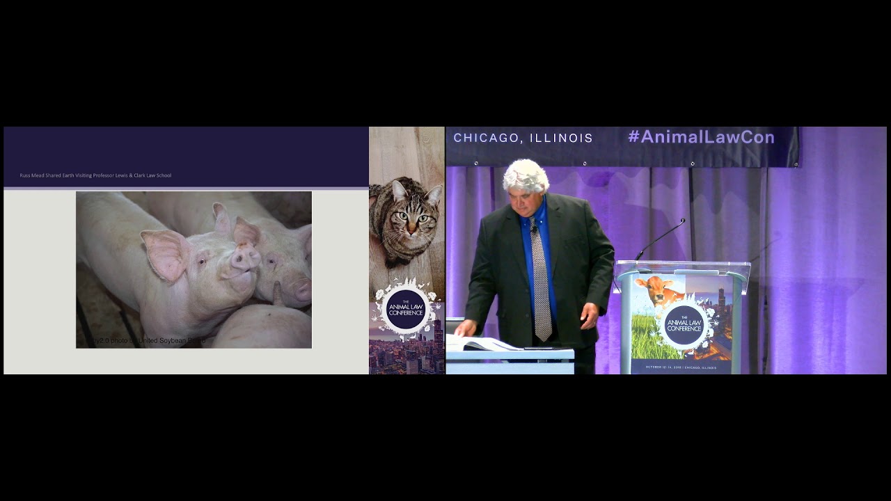 Ethics and the Animal Lawyer