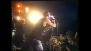 Peter &amp; the Test Tube Babies - The Jinx (Live)