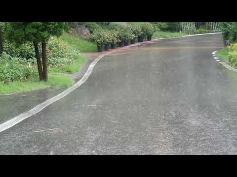 Sonido de la lluvia de verano para Dormir * Relajante sonido de la lluvia * Sonido de ruido blanco