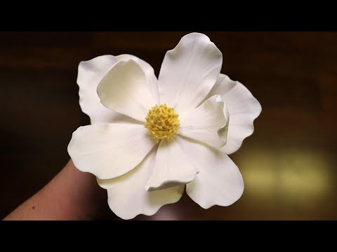 Gumpaste Magnolia Tutorial