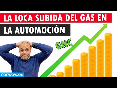 ¿QUÉ ESTÁ PASANDO CON EL PRECIO DEL GAS EN EL MOTOR? ¿Tiene futuro la tecnología?