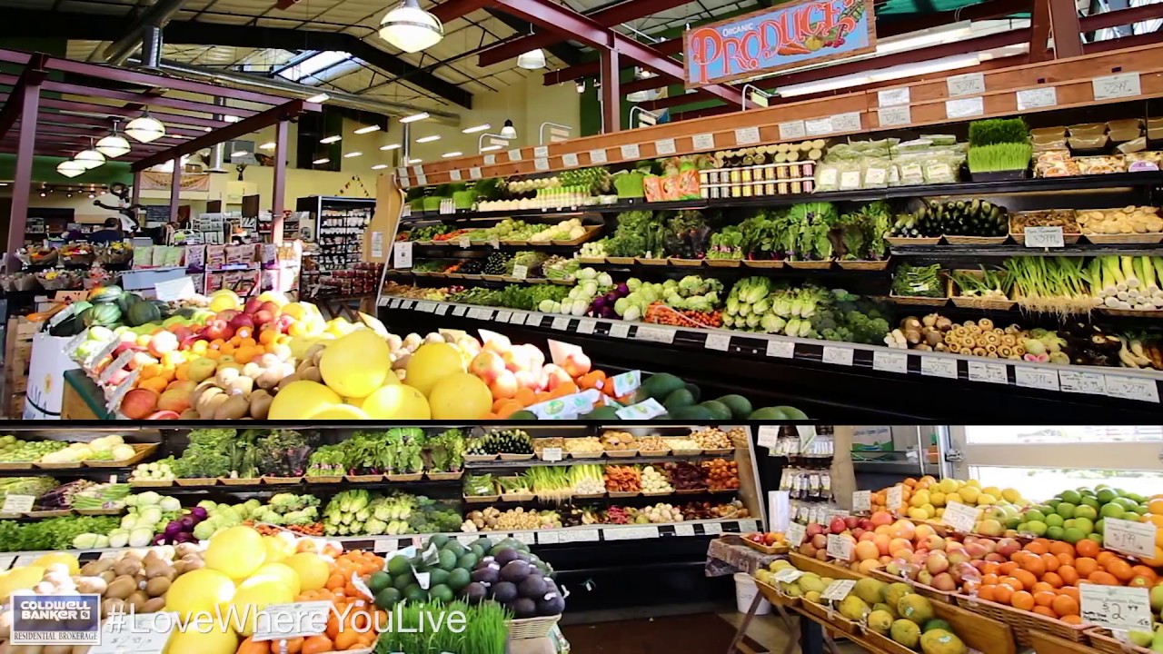Community & Lifestyle - Sebastopol and Bodega Bay