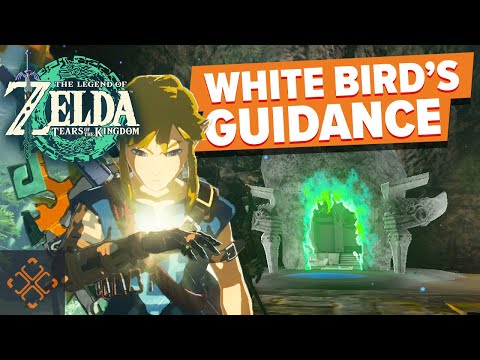 The Legend Of Zelda: Tears Of The Kingdom - How To Complete The White Bird Guidance Shrine Quest