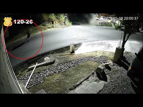 120. Sospechosos de Homicidio en Palmares, Alajuela.