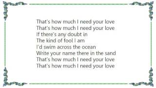 Chuck Prophet - That's How Much I Need Your Love Lyrics