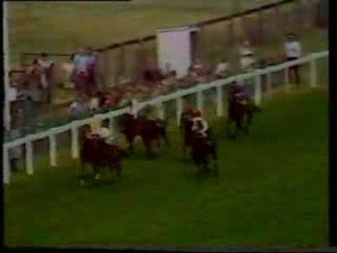 Troy - 1979 King George VI & Queen Elizabeth Stakes