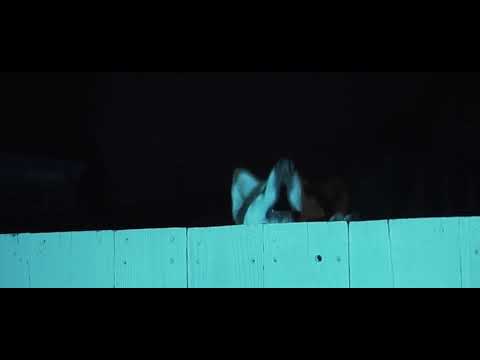 Exclus Nood - “So Hard” (Official Video) feat  Dj June x Richcitystu x TaeDaBoi Dir/Solidshotfims