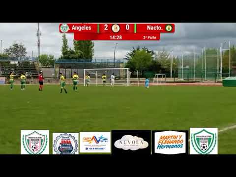 Tercer gol de Adner pantera Riquelme, para Anfa Bio Bio... 