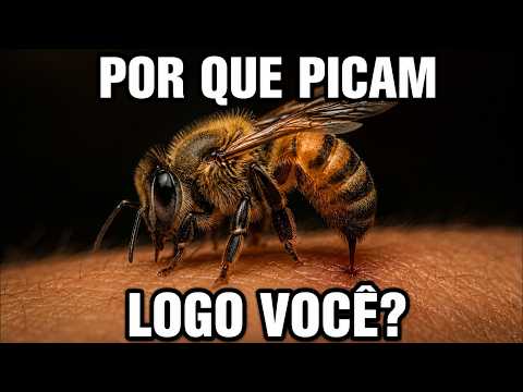 Entendam a importância das abelhas para a raça humana