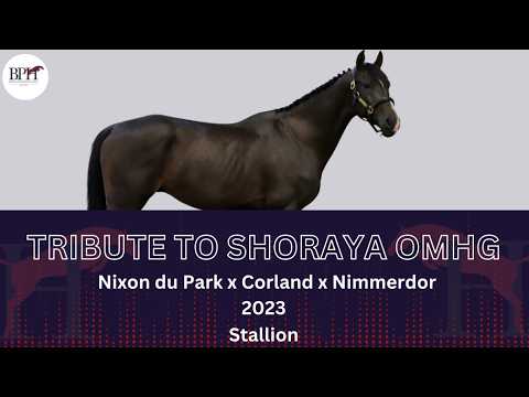 Tribute to Shoraya OMHG