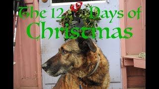 The 12 Days of Christmas—My ASL Interpretation