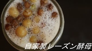 レーズン 牧野 写真 أشهر موقع لمشاركة مقاطع الفيديو الموسيقية على الإنترنت