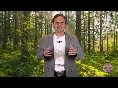 Initial Enneagram - Who is Type (Ray) 3? - Nicolai Cursino