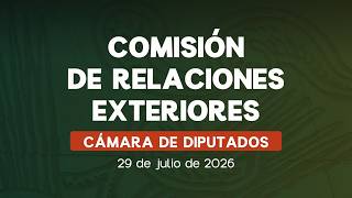 🔴Reunión de la Comisión de Relaciones Exteriores de la Cámara de Diputados 29/07/26