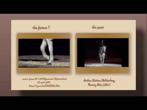 2  HYPERFLEXION/LDR/Rollkur at the Spanish Riding School