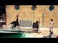 Sealion Show Ball Balancing