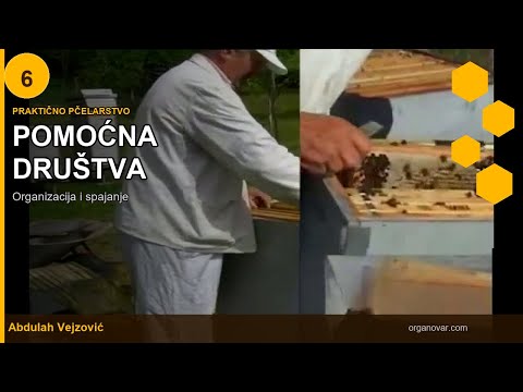 Pomoćna društva i tretiranje
