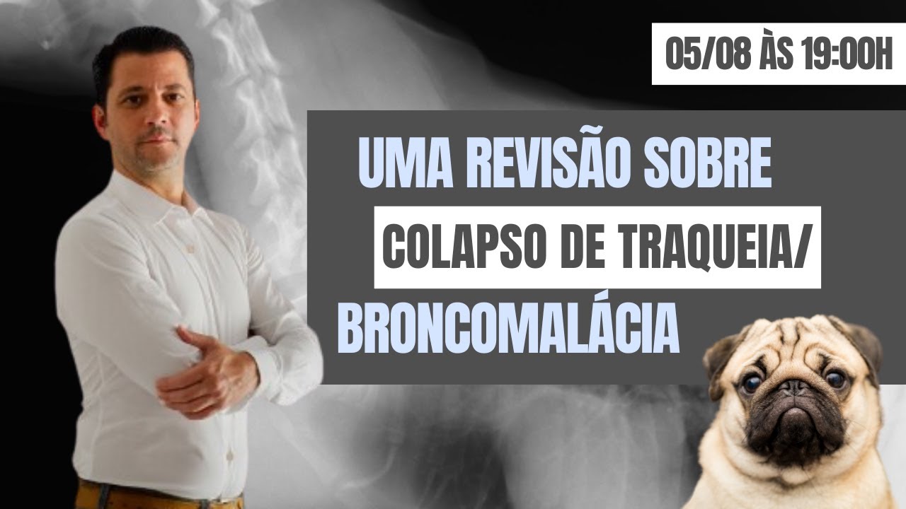 Uma revisão sobre colapso de traqueia/broncomalácia