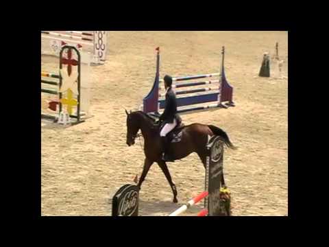 Stirlitz 2009 Stakkatol × Toulon (Carthago) 2016 május