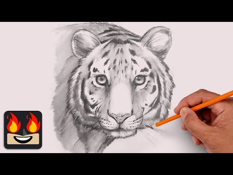 How To Draw a Tiger | Sketch Tutorial (Step-by-Step)