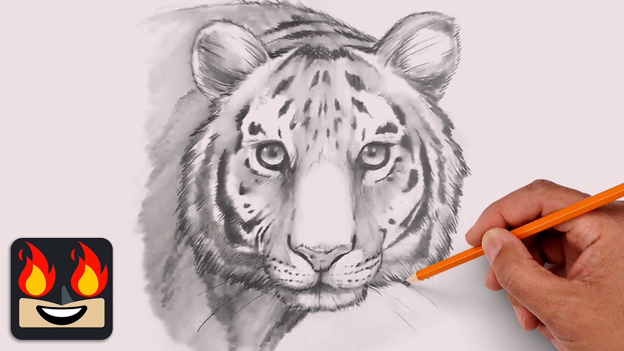 How To Draw a Tiger | Sketch Tutorial (Step-by-Step)