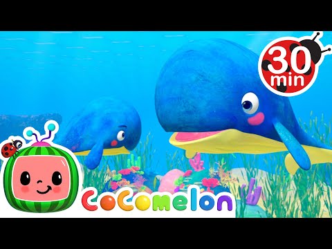 Mom and Baby Blue Whale Lullaby - @CoComelon | Kids Cartoons | Moonbug Kids