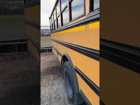 Here's What The Three Black Stripes On A School Bus Are For