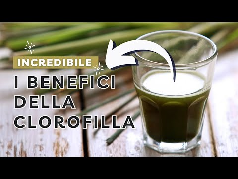 I BENEFICI della CLOROFILLA