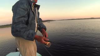 preview picture of video 'Captain Tom Van Horn Bass Fishing Lake Harney with a 9lb. Sunshine Bass'
