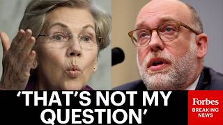 BREAKING: Elizabeth Warren Ruthlessly Grills Russ Vought On Rescinding Financial Settlements