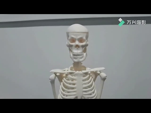 نموذج هيكل عظمى -Superstructure Model