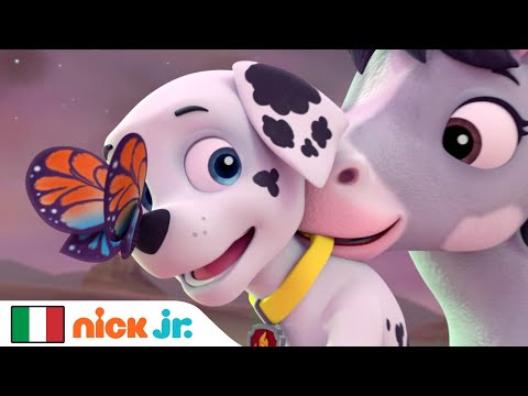 Paw Patrol - La Squadra dei Cuccioli | La Pony Priscilla Salva la Squadra dei Cuccioli! | Nick Jr.