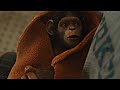 Live Action Curious George Teaser Trailer