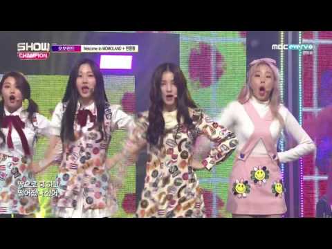 161130 MOMOLAND(모모랜드) _ JJan! Koong! Kwang!(짠쿵쾅) @ Show Champion