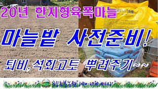 한지형육쪽마늘파종을 위한 밭준비작업