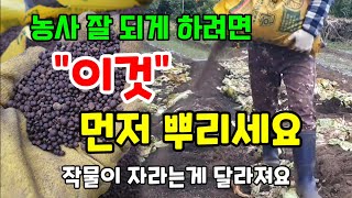 농사 잘되게 하려면 이것 먼저 뿌리고 농사 시작하세요 작물 자라는게 달라집니다 토양개량제 석회비료 #토양개량…