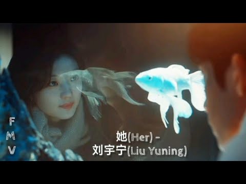 她(HER) - 刘宇宁(LIU YUNNING)《早春晴朗 THE EARLY SPRING) OST FMV with eng lyrics 
