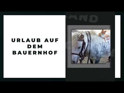 Buchheims Hof Pension Vogtland YouTube-Vdeominiatur 6