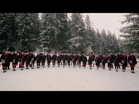 Buna sara, dumneavoastră - Colinde „Ai lui Ștefan, noi oșteni”