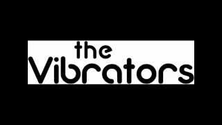 the Vibrators - 2night