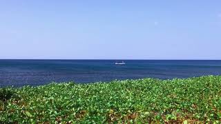 Rural Fishing Beach Ecology In The Dry Season At Seririt Village Buleleng North Bali Indonesia