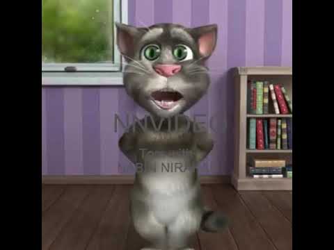 fully comedy with cat and wishes of new year 2056