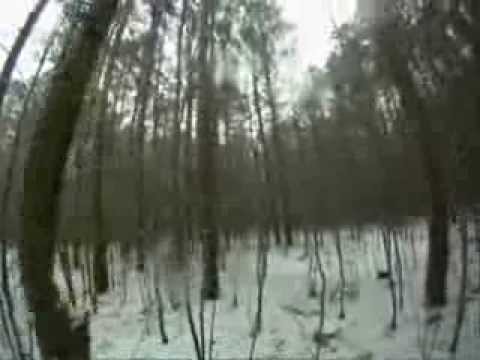 K9 Area Search Exercise